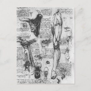 Leonardo Vinci- Anatomiska undersökningar (larynx Vykort