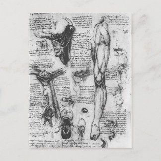 Leonardo Vinci- Anatomiska undersökningar (larynx  Vykort