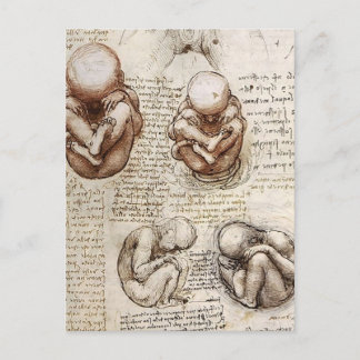 Leonardo Vinci:s syn på en Fetus in Womb.jpg Vykort