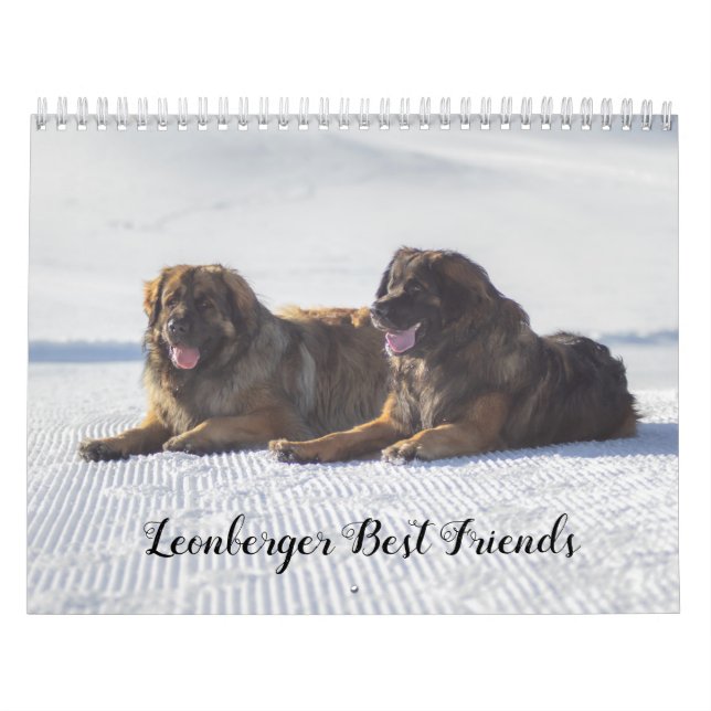 Leonberger Bästa vänner Kalender (Omslag)