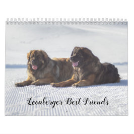 Leonberger Bästa vänner Kalender