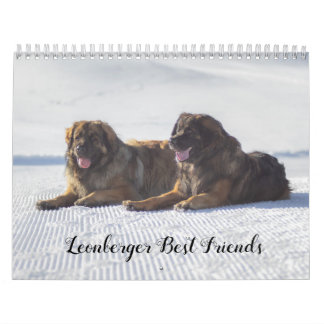 Leonberger Bästa vänner Kalender
