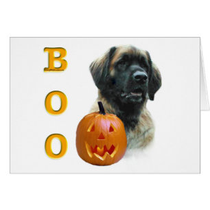 Leonberger Boo Hälsningskort