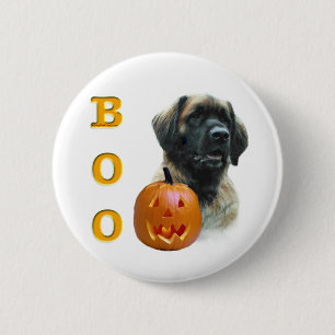 Leonberger Boo Knapp