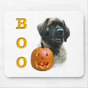 Leonberger Boo Musmatta