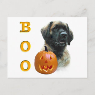 Leonberger Boo Vykort