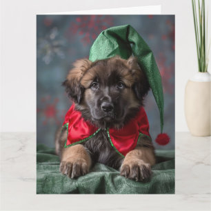 Leonberger Elf Puppy-julkort Kort