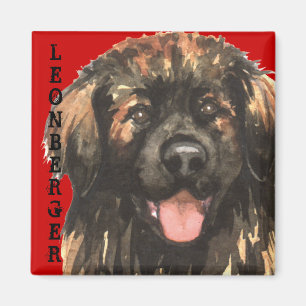 Leonberger färgkvarter magnet
