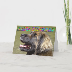 Leonberger födelsedagkort kort