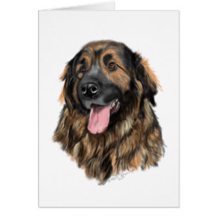 Leonberger Head studie Hälsningskort