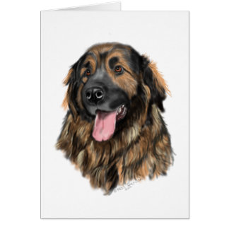 Leonberger Head studie Hälsningskort