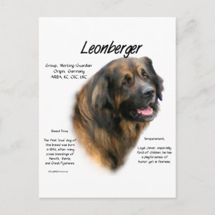 Leonberger-historikdesign Vykort