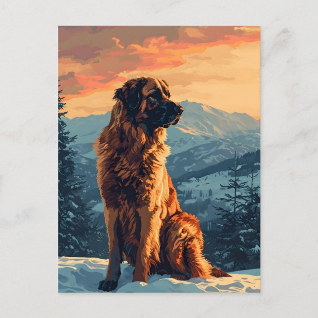 Leonberger hund i snöskogen under solnedgången vykort (Framsida)