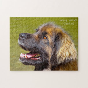 Leonberger hund. pussel