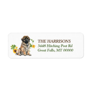 Leonberger Hund Solros Wandeans Returadress Etikett