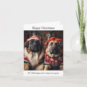 Leonberger Hundar i julsötare Kort