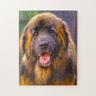 Leonberger Hundras Pussel. Pussel