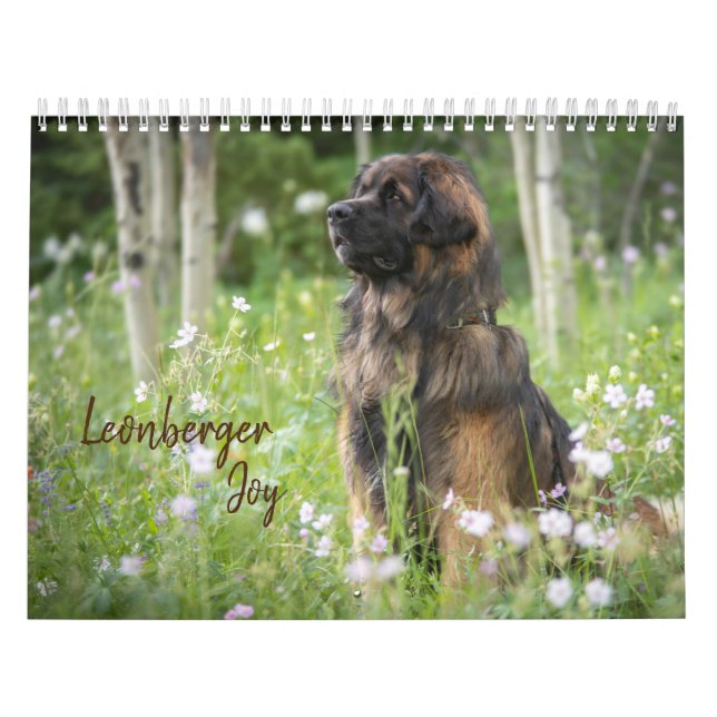 Leonberger Joy Kalender (Omslag)