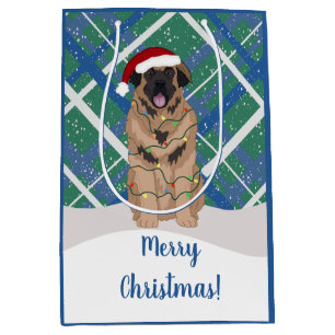 Leonberger jul