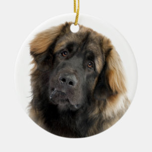 Leonberger Julgransprydnad Keramik