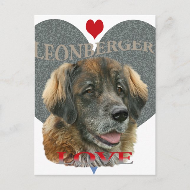 Leonberger Kärlek Gift Ideas Vykort (Framsida)