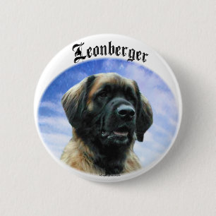 Leonberger moln knapp