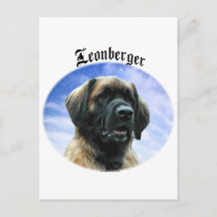 Leonberger moln vykort