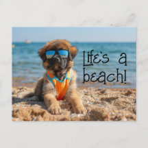 Leonberger Puppy med sunglass-vykort