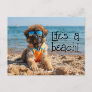 Leonberger Puppy med sunglass-vykort Vykort