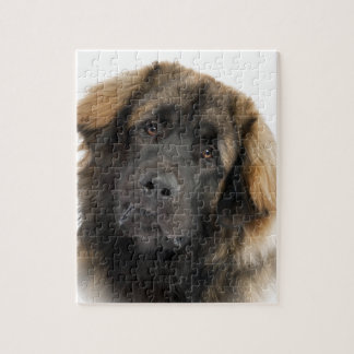 Leonberger Pussel