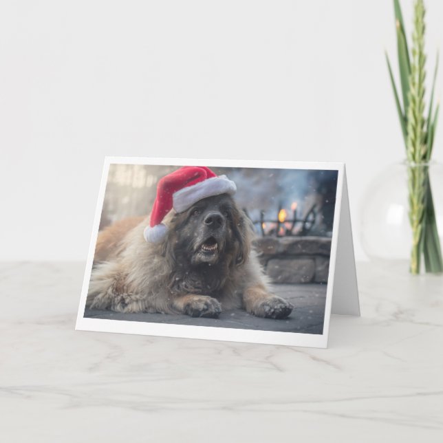 Leonberger Santa Helgkort (Framsida)
