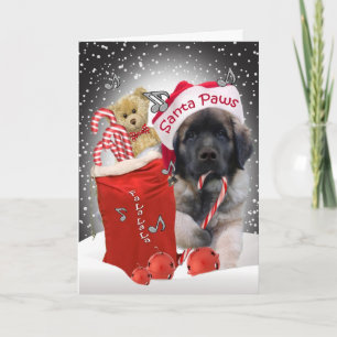 Leonberger Santa tafsar julkortet Helgkort