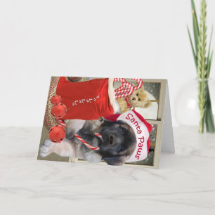 Leonberger Santa Tassar cards Helgkort