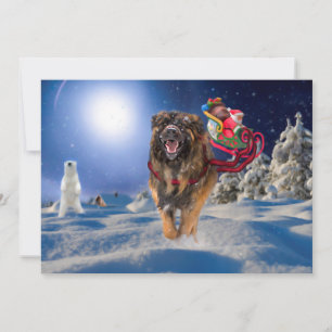 Leonberger sparar jul sänker helgdagkortet julkort