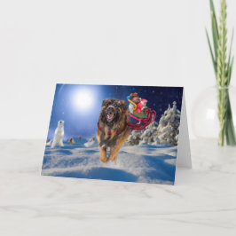 Leonberger sparar Santa! Vikt helgdagkort Helgkort