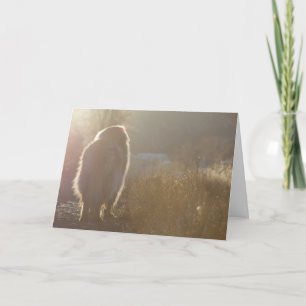 Leonberger Symapthy kort