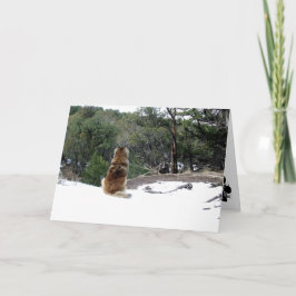 Leonberger sympatikort kort