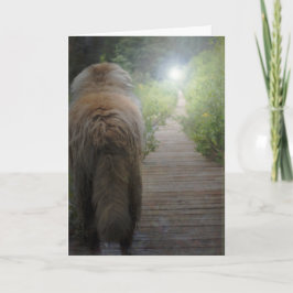 Leonberger sympatikort kort