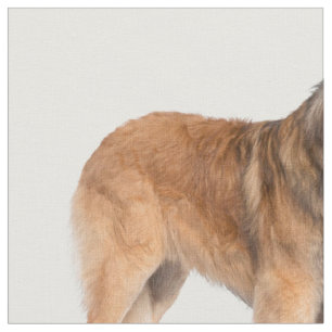 Leonberger Tyg