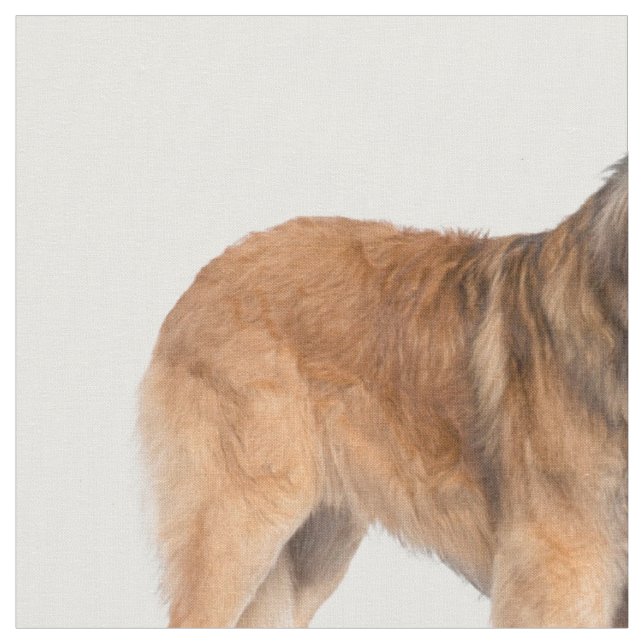 Leonberger Tyg (Närbild)