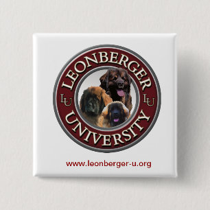 Leonberger U knäppas Knapp