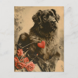 Leonberger Valentindagens Vintage Vykort