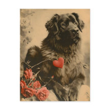 Leonberger Valentindagens Vintage