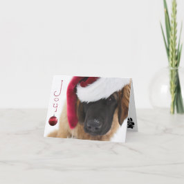 Leonberger valpjul helgkort
