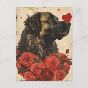 Leonberger Vintage Valentines dag Vykort
