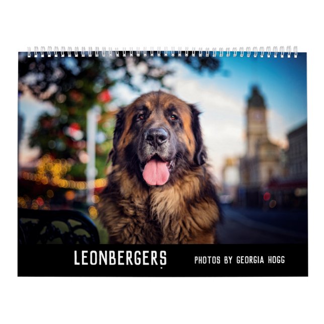 Leonbergers Kalender (Omslag)