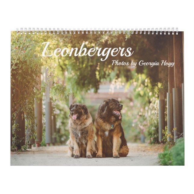 Leonbergers Kalender (Omslag)