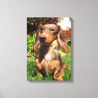 leonidas canvastryck