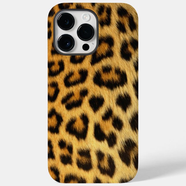 Leopard (Baksida)