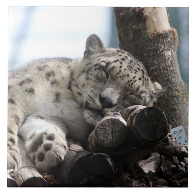 Leopard 002 kakelplatta (Framsidan)